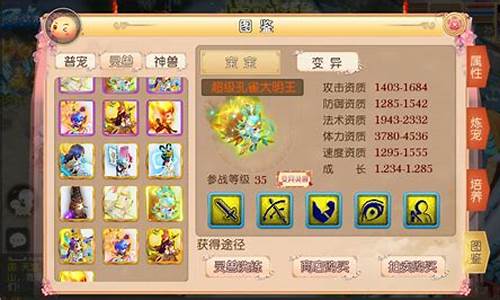打造专属大话西游私服：编程入门与技巧分享